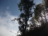 nte Fontane-201011107 020